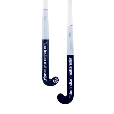 The Indian Maharadja Indoor Gravity 10